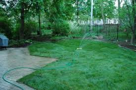 Converting Your Lawn